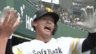 若き才能が激突…涙と希望のファーム戦⚾🔥#プロ野球#ファーム#若手選手#ソフトバンク#ロッテ#西武#オリックス#野球ハイライト#逆転劇#ホームラン