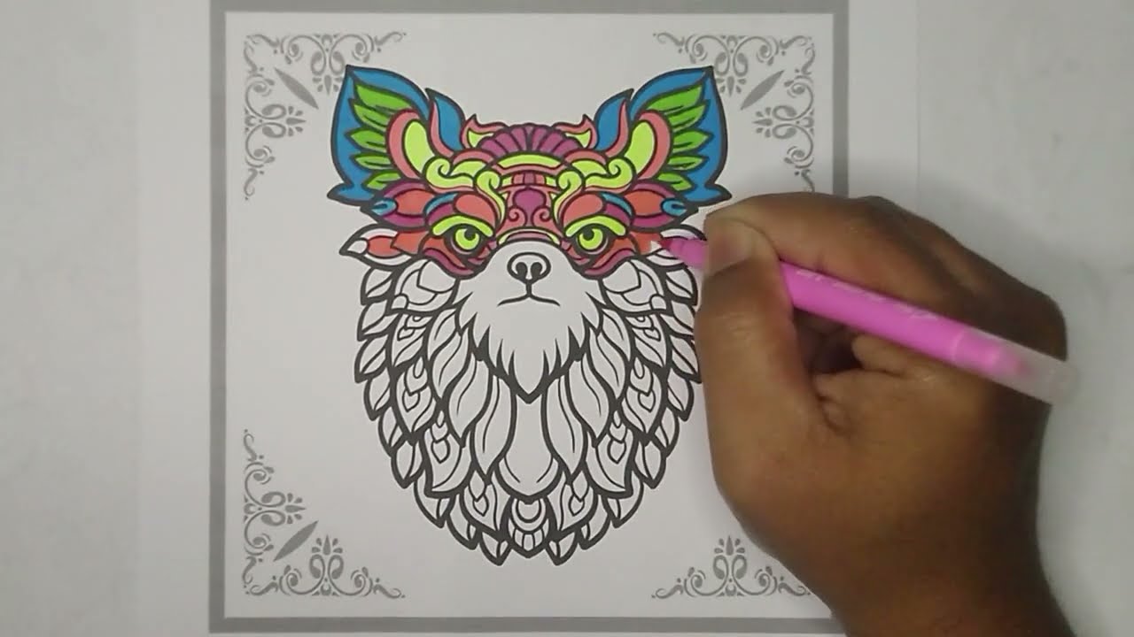 Pomeranian vector illustration in pink color