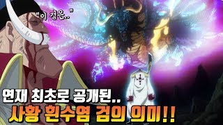 [원피스 분석] 연재 최초로 공개된 사황 흰수염 검의 의미!!
