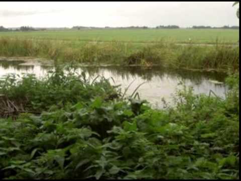 Huis te koop: Aarlanderveen, Zuideinde 61, 2445AT