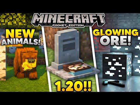 Criptbow Gaming - These Mods Add Some More New Features In Minecraft Pe 1.20! Best mods for MCPE 1.20! Criptbow Gaming