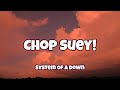 System Of A Down - Chop Suey! ( Lyrics )