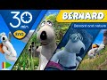 Bernard Bear Bernard And Nature Special Collection 03 30 Minutes