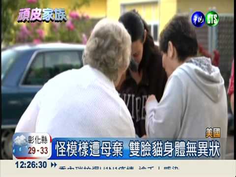 雙臉貓.迷你鹿 奇趣動物大發現