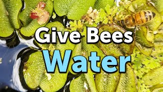 HOW TO MAKE A WATER SOURCE FOR BEES IN 3 STEPS: How, When & Why We Provide Water for Honey Bees