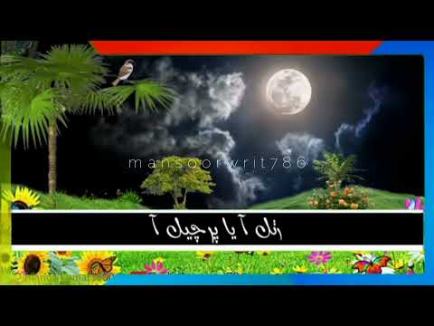 Sindhi Status Song ||  Total waje to udami mehboob je dar te ||  Shaman Ali Mirali