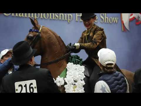 SF Aftershoc+ - 2021 U.S. National Championships