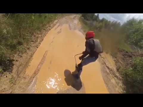 Feregi - Poiana Rachitelii (DJ 708D Hunedoara)