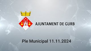 Ple municipal 11.11.2024