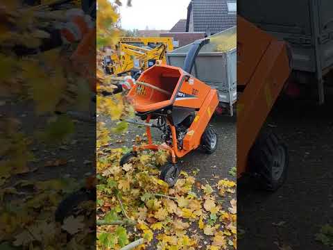 Gartenpflege Olaf Peters. Häcksler Eliet Prof 6