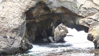 Venture into Nature to Inspire Your Garden