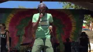 Marlon Asher - Ganja Farmer (Live at Reggae On The Mountain 2015)