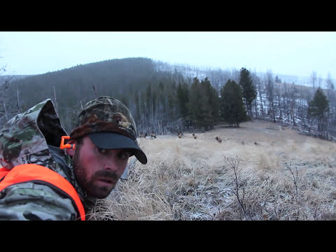 Late Season Elk Hunt in Montana with Remi Warren