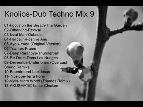 Dub Techno Mix 9 Knolios