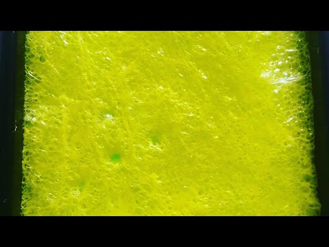 Bubbly Slime Pufos Uscat - dried slime!