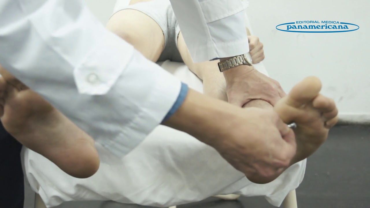 Video 32 Examen de la motilidad