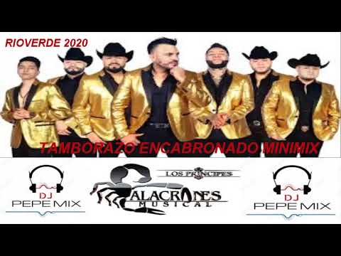 ALACRANES MUSICAL TAMBORAZO MINI MIX AL ESTILO DE PEPEMIX