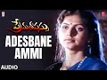 Adesbane Ammi Song Prema Thapassu Telugu Movie Rajendra Prasad Roja Raja Dr S Shivaprasad