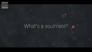 Whats A Soulmate?  WhatsApp Status  Download Link 