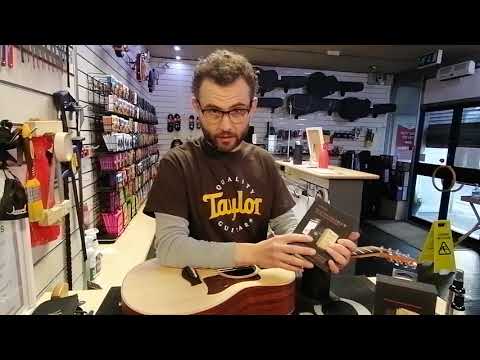 Taylor Guitar Maintenance Tips and Tricks