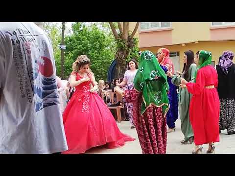 Nide bağları MÜZİSYEN ÖZLEM ÖKTEN AKŞEHİR düğünleri Engilli  mahallesinden Nazik Emir & Ali Ekici