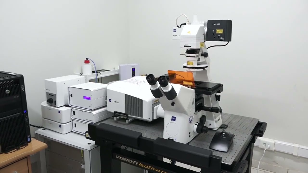 Sistema de Microscopia Confocal da UFLA