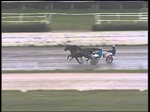 Trotto 20/01/2015 - 2° Prova di qualifica