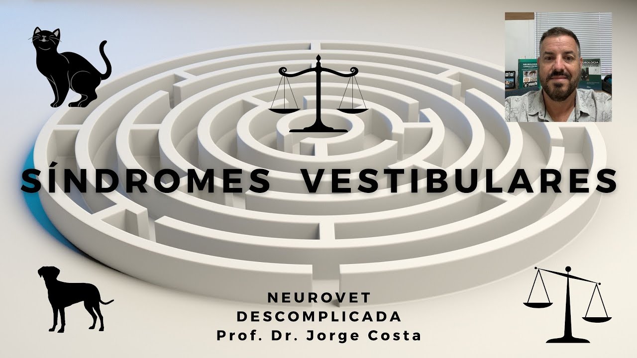 Síndrome vestibular [tudo que você precisa saber]