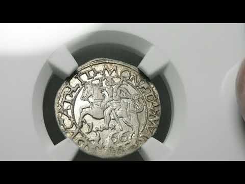 Zygmunt II August, Półgrosz 1566 Tykocin – 23 Pogoń, Jastrzębiec