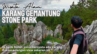 Download lagu TERNYATA INI KARANG RAKSASA YANG TERSEMBUNYI DI BALIK HUTAN PINUS BANJARNEGARA || KEREN BANGET mp3 Download lagu TERNYATA INI KARANG RAKSASA YANG TERSEMBUNYI DI BALIK HUTAN PINUS BANJARNEGARA || KEREN BANGET mp3