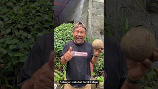 Download lagu CELENGAN KEREN DARI BATOK KELAPA #viral #art mp3
