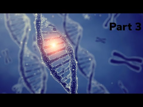 Abitur Biologie: Mutation, Chromosomenmutation & Genommutation Teil 3