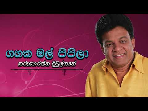 Karunarathna Divulgane - Gahaka Mal Pipila