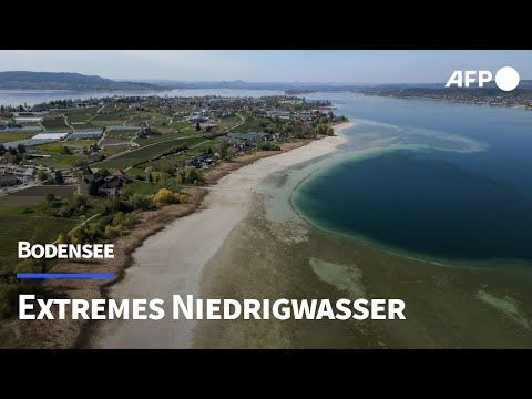 Bodensee hat so wenig Wasser wie seit Jahrzehnten nicht | AFP