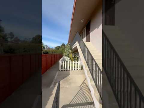 Grape (Hendrick/Carey Ryan, LLC) - Video 2 of 2