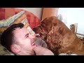 ANGRY DOGS COMPILATION 2019