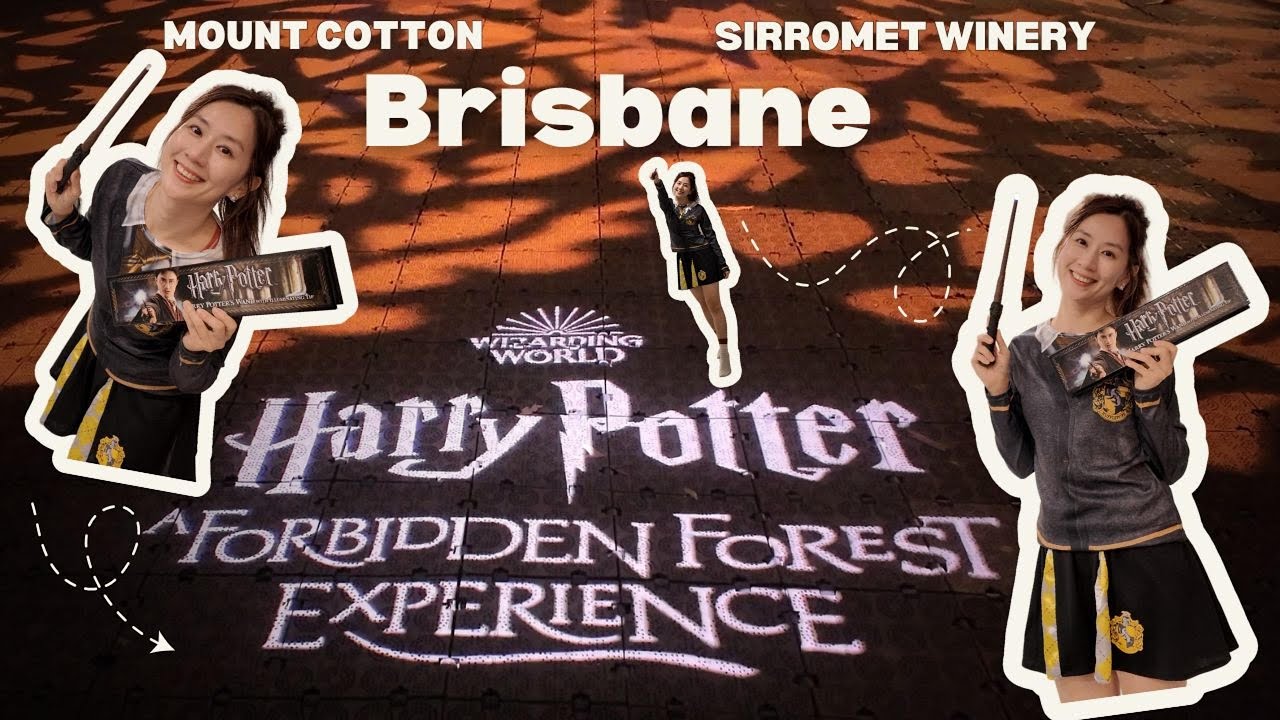 Experience a walking tour through Harry Potter: Forbidden Forest Experience.