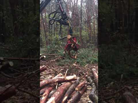 Houtoogstmachines - Video 1