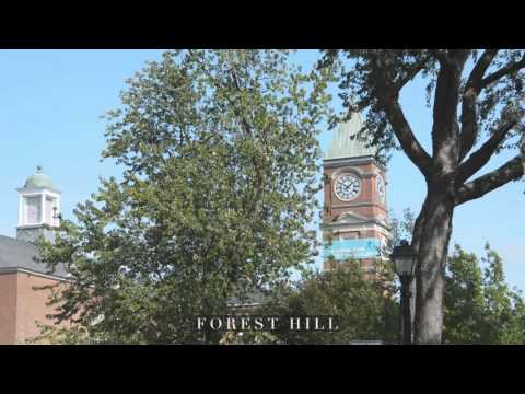 Forest Hill Real Estate (Braden White - Chestnut Park Real Estate Limited)