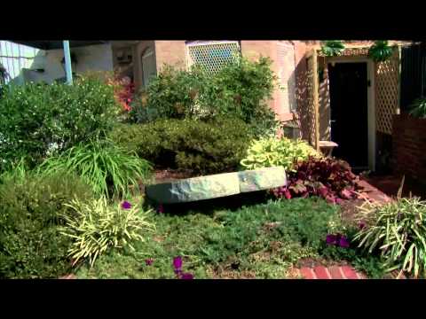 CBN NewsWatch: September 24, 2013