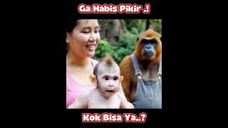 Download lagu Wanita ini menikah dengan gorila ini hasilnya #animasi #animals #animated #stitch #anime #animation mp3