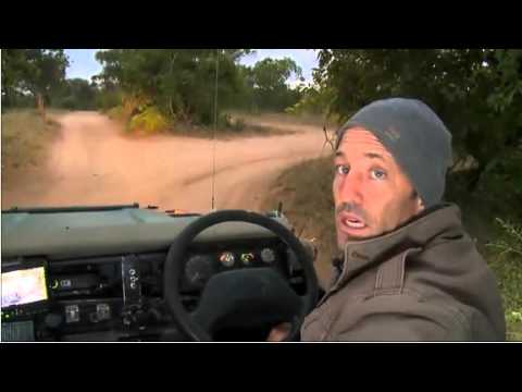 May 9 WildEarth Sunrise SafariLIVE Nkuhumas, Karula, Ellies, Vervet Monkey