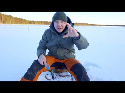 Pilkintää Mökkijärvellä | kalastus