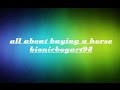 All About Buying a Horse! |AUDREY| 