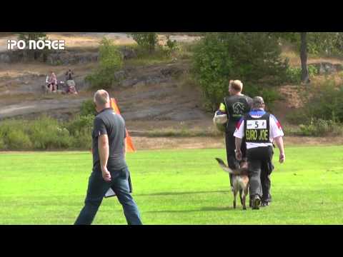 FCI NM IPO 2014 Erik Engeland - Crutt av Staalhjerte - C