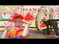 Oliver S Family Trips To The Zoo And Other Fun Animal Videos