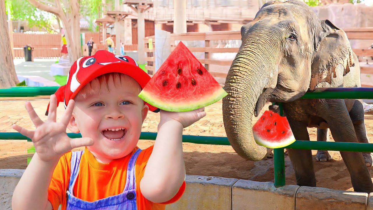 Oliver's Family Trips to the Zoo and other Fun Animal Videos