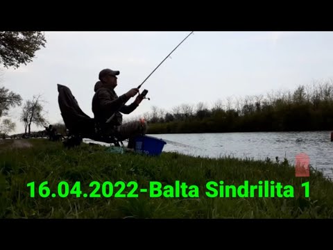 PESCUIT STATIONAR 12 H PE BALTA SINDRILITA 1,PARTIDA REUȘITĂ