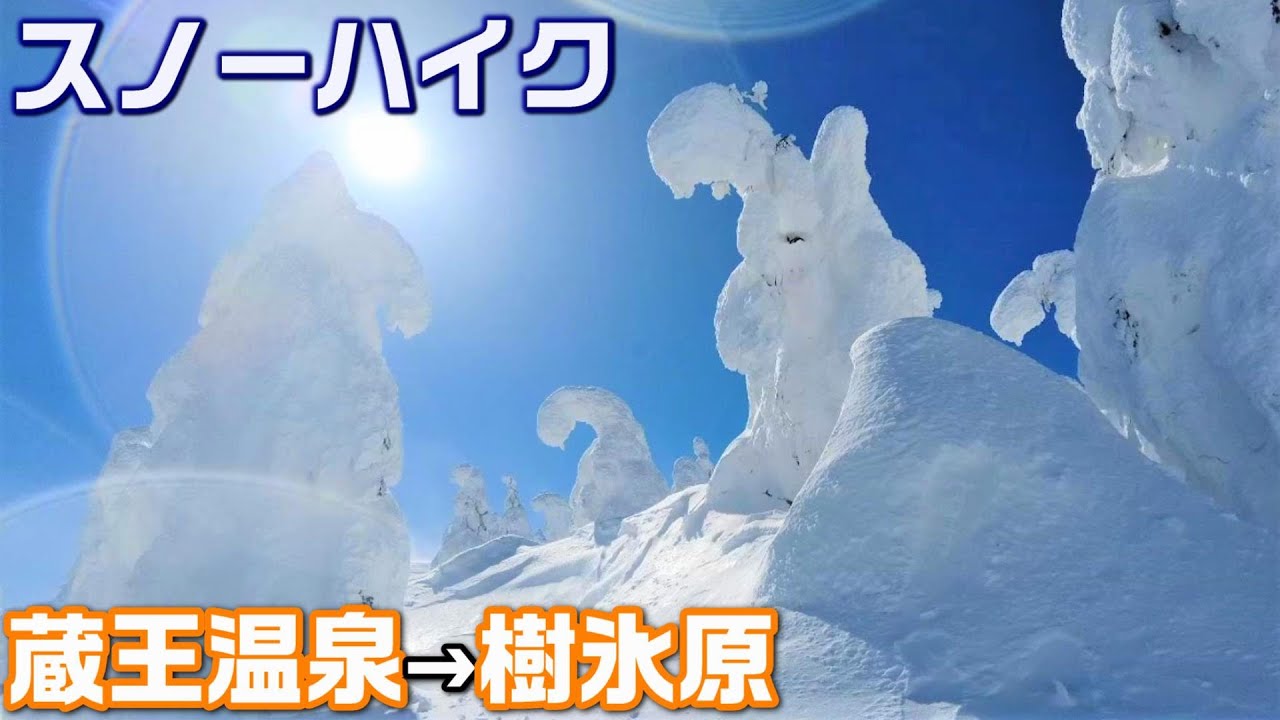 【日本三大樹氷】ドピーカンの蔵王でスノーモンスターの群れに感動が止まらない😂本場はやはり凄かった‥【4K・長野移住／旬旅】