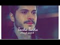 Tanha Tanha Mat Socha Kar (Slowed reverb) Lo-fi song